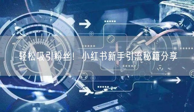 轻松吸引粉丝！小红书新手引流秘籍分享