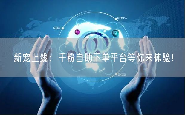 新宠上线：千粉自助下单平台等你来体验！